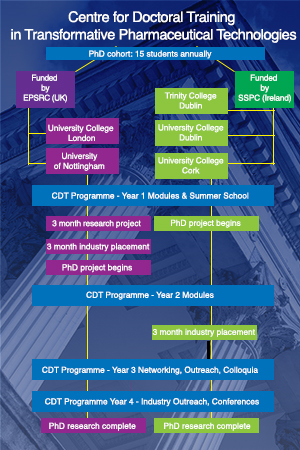 CDT Programme Infographic